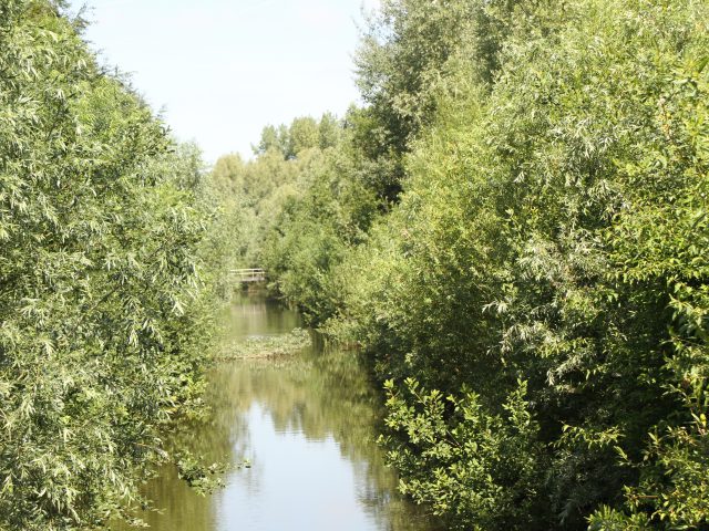 Moeder Natuur Moeder Natuur